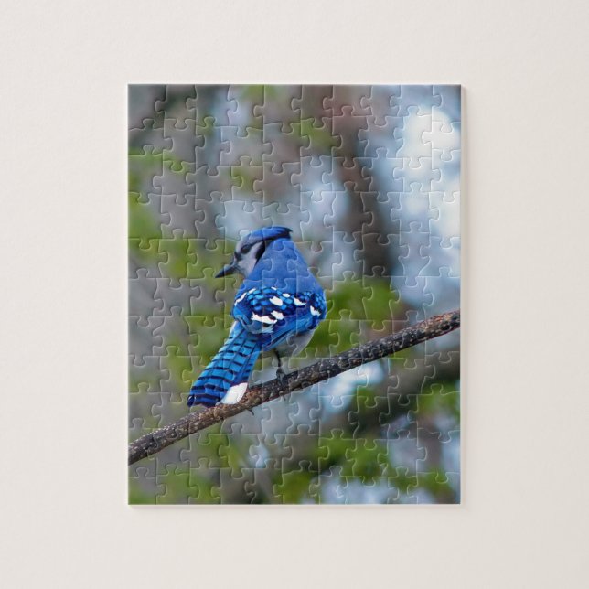Blue Jay Jigsaw Puzzle (Vertical)