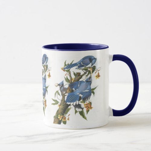 Blue Jay John James Audubon Mug