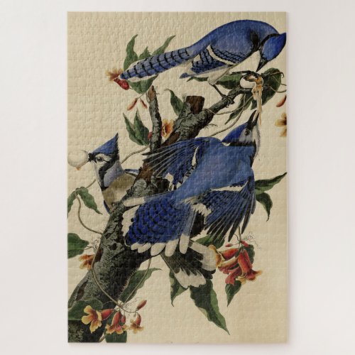 Blue Jay _ John James Audubons Birds of America Jigsaw Puzzle