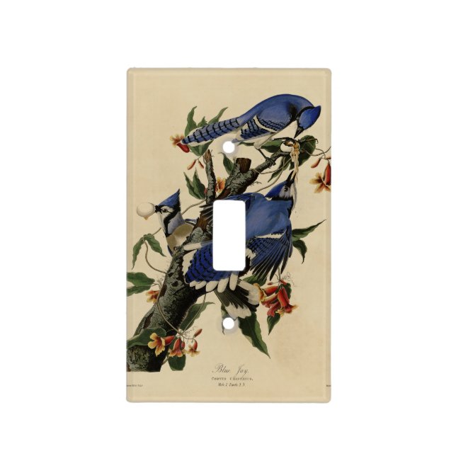 Blue Jay - John James Audubon's Birds of America Light Switch Cover (Front)