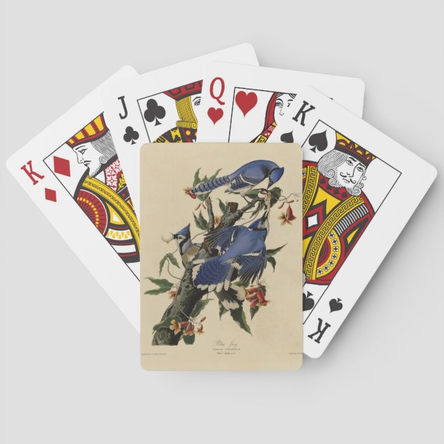 Blue Jay - John James Audubon's Birds of America Poker Cards (Back)