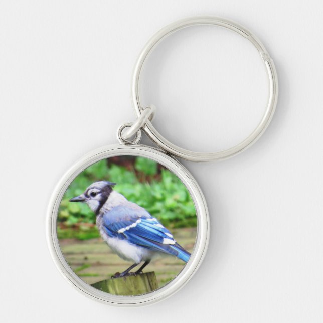 Blue Jay Key Chain (Front)