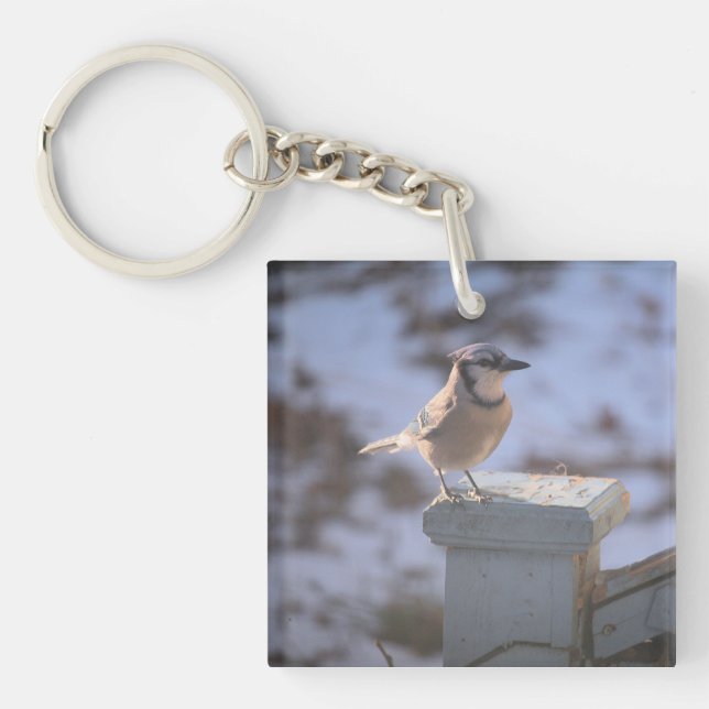 Blue Jay Keychain (Front)