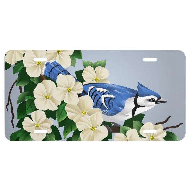 Blue Jay License Plates (Front)