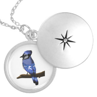 Blue Jay Locket Necklace