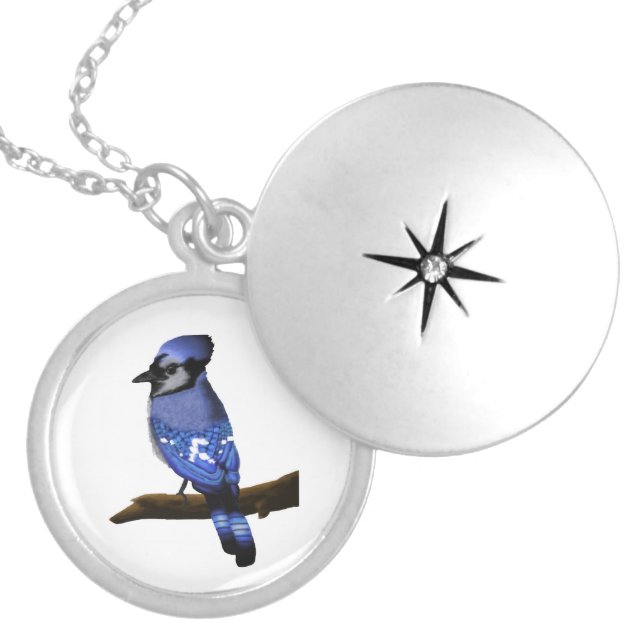 Blue Jay  Locket Necklace (Front)