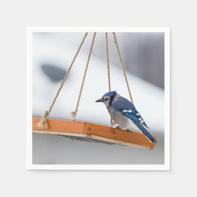 Blue Jay Lunch Napkins (Front)