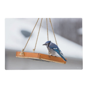 Blue Jay Lunch Placemat