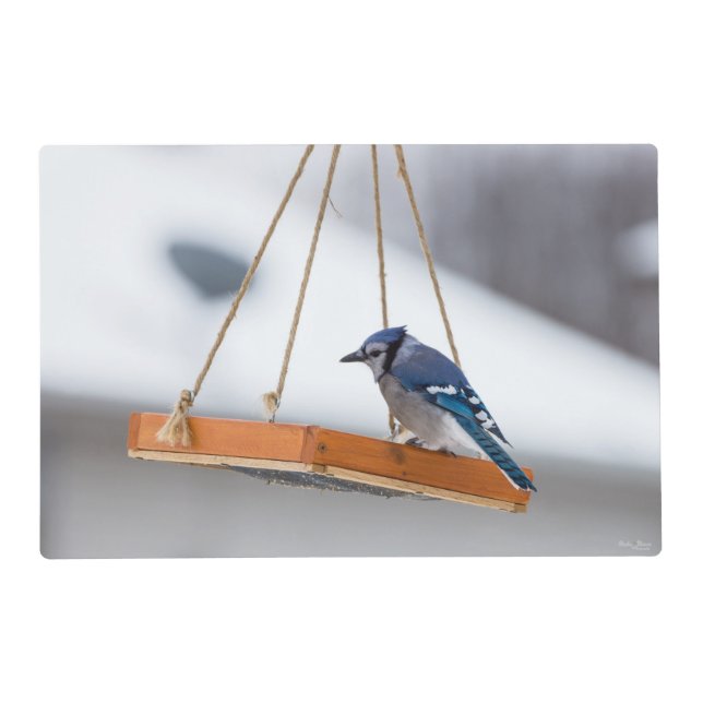 Blue Jay Lunch Placemat (Front)