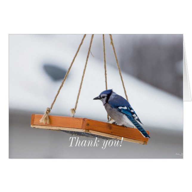 Blue Jay Lunch Thank You Card (Front Horizontal)