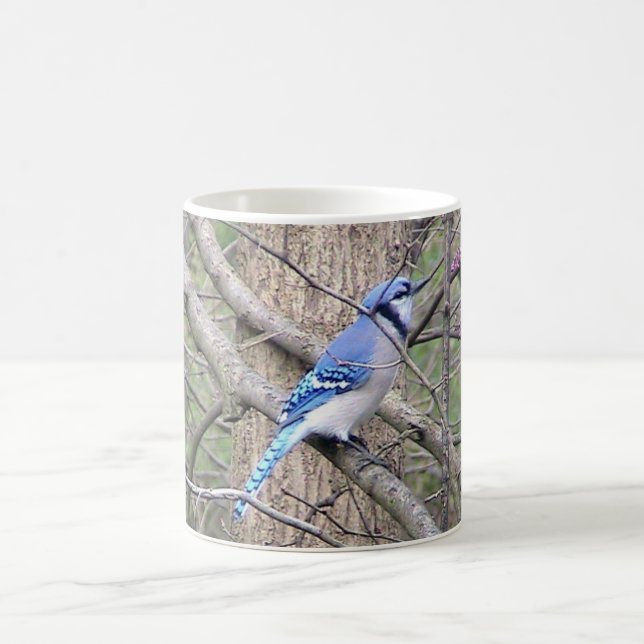 Blue Jay (Ohio) Mug (Center)