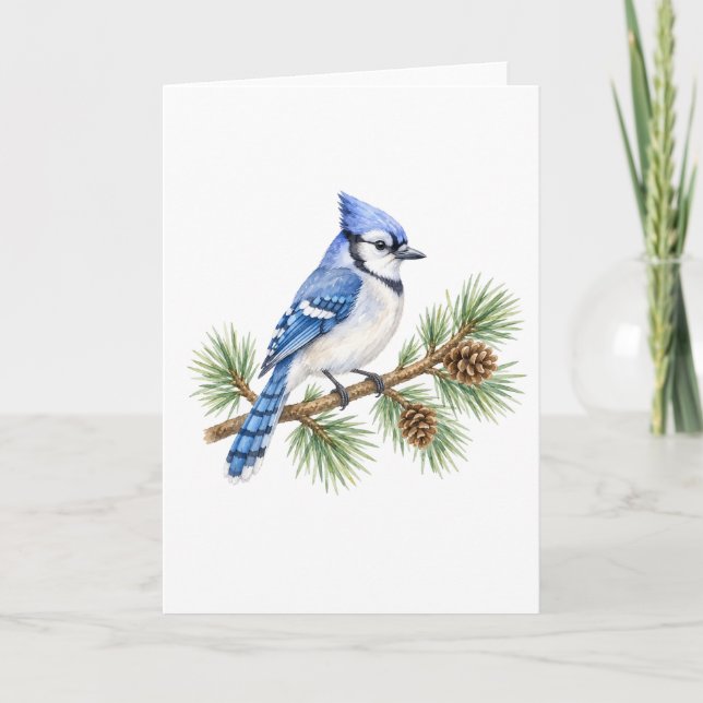 Blue Jay on a Pine Branch Card (Front)