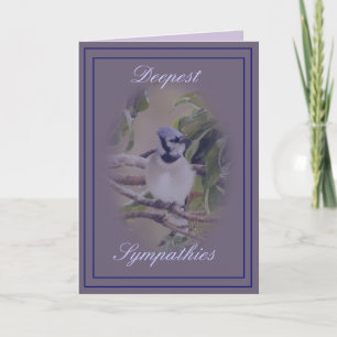 Blue Jay on lavendar Card