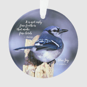 Blue Jay on Post Photo w/Quote Birds Nest w/Eggs Ornament