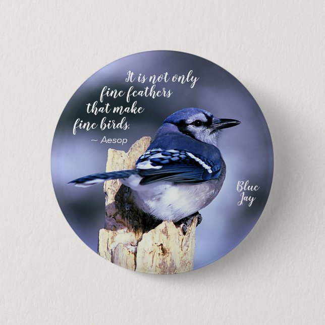 Blue Jay on Post Wildlife Photograph Nature Button (Front)