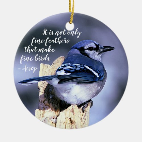 Blue Jay on Post Wildlife Photograph Nature Ceramic Ornament