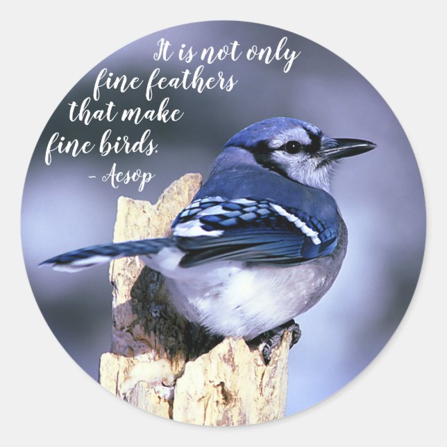 Blue Jay on Post Wildlife Photograph Nature Classic Round Sticker (Front)