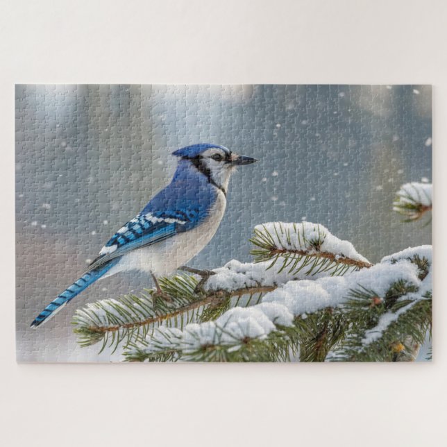 Blue Jay on Snowy Pine Branch Jigsaw Puzzle (Horizontal)