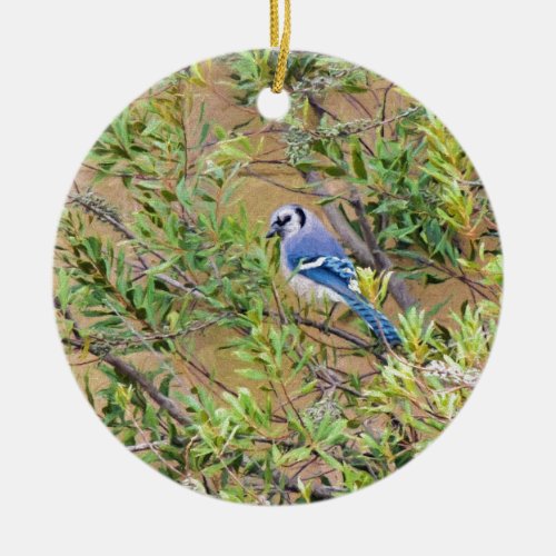 Blue Jay on Southern Wax Myrtle Ceramic Ornament