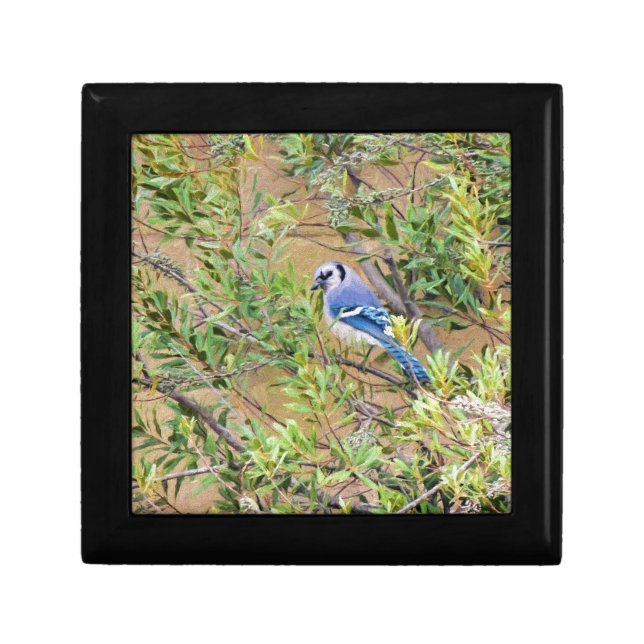 Blue Jay on Southern Wax Myrtle Keepsake Box (Front)