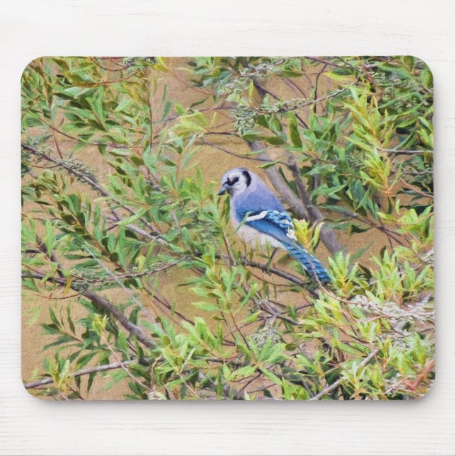 Blue Jay on Southern Wax Myrtle Mouse Pad (Front)