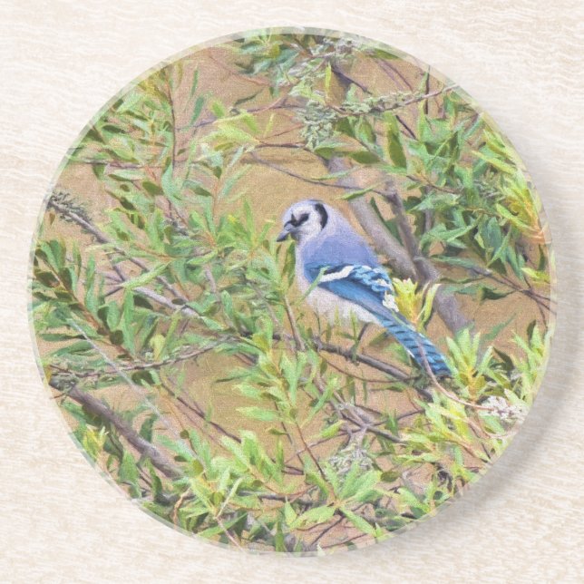 Blue Jay on Southern Wax Myrtle Sandstone Coaster (Front)