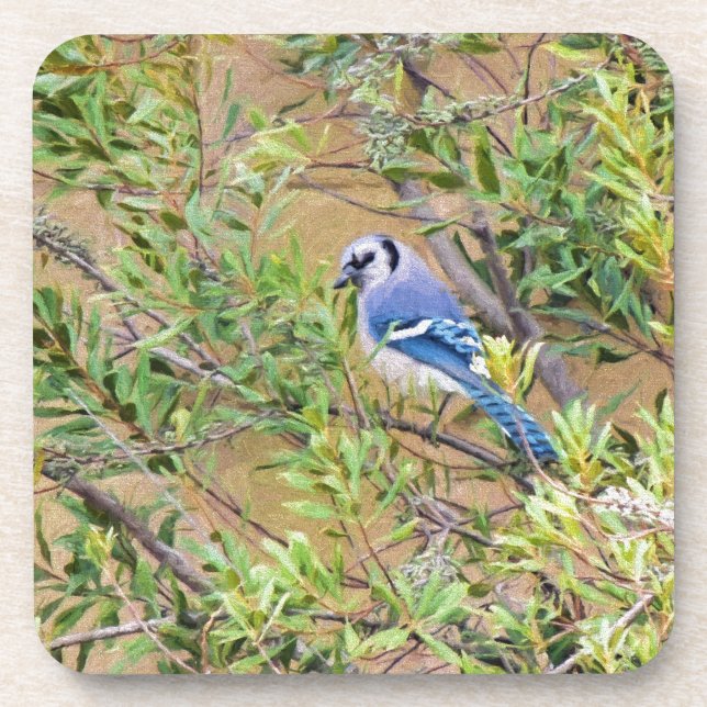 Blue Jay on Wax Myrtle Beverage Coaster (Front)