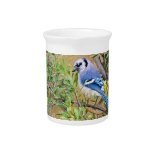 Blue Jay on Wax Myrtle Drink Pitcher