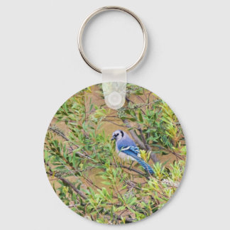 Blue Jay on Wax Myrtle Keychain