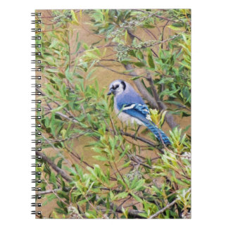 Blue Jay on Wax Myrtle Notebook
