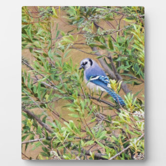 Blue Jay on Wax Myrtle Plaque