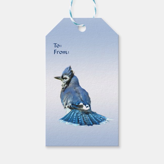 Blue Jay Pack of Gift Tags