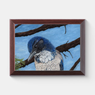 Blue Jay Painting Award Plaque