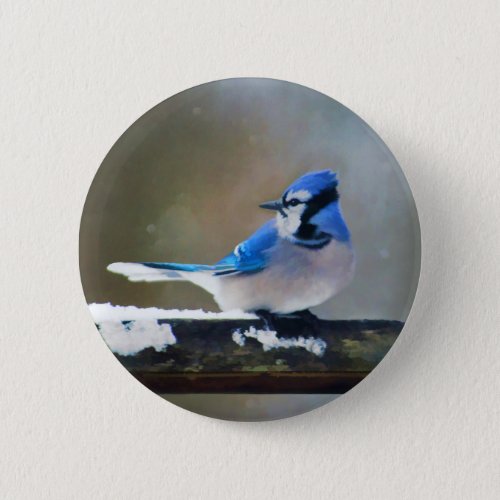Blue Jay Painting _ Original Bird Art Button
