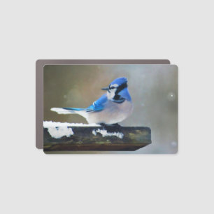 Blue Jay Painting - Original Bird Art Car Magnet