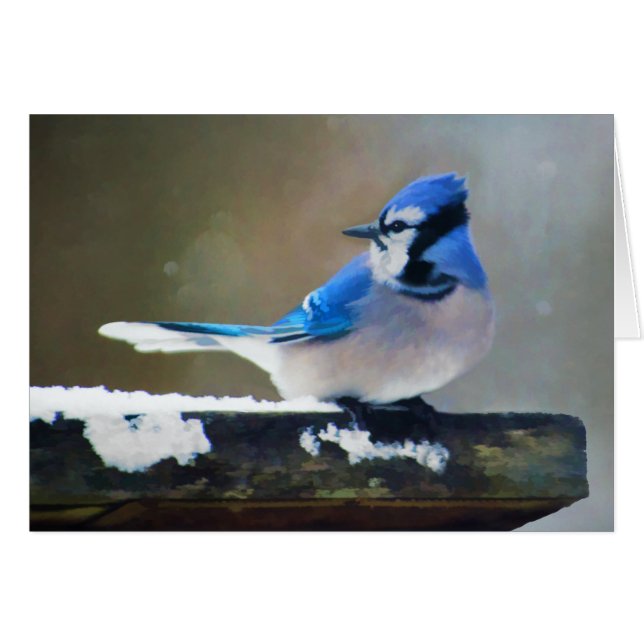 Blue Jay Painting - Original Bird Art Cards (Front Horizontal)