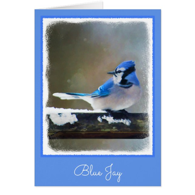 Blue Jay Painting - Original Bird Art Cards (Front)