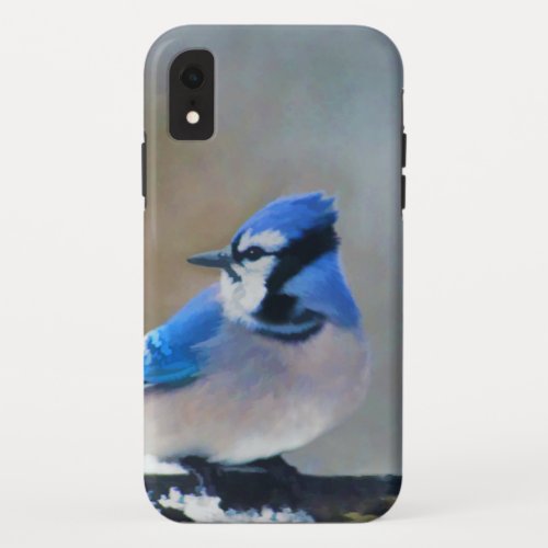 Blue Jay Painting _ Original Bird Art iPhone XR Case