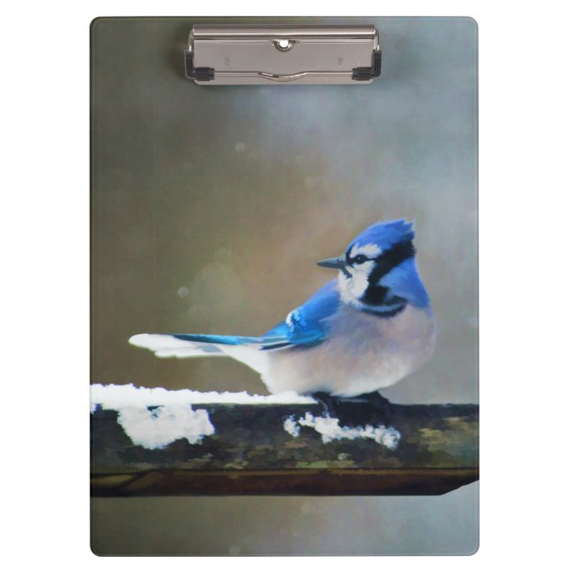 Blue Jay Painting - Original Bird Art Clipboard (Front)