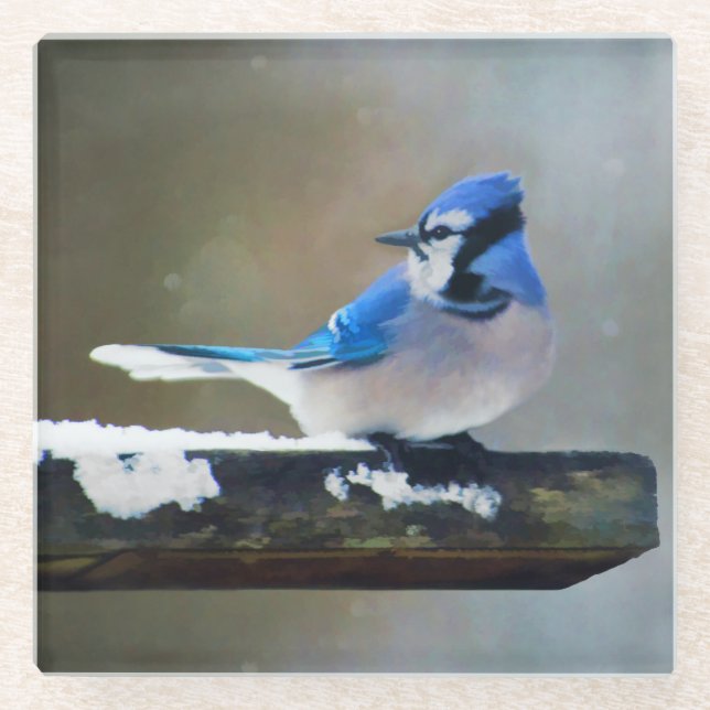 Blue Jay Painting - Original Bird Art Glass Coaster (Front)
