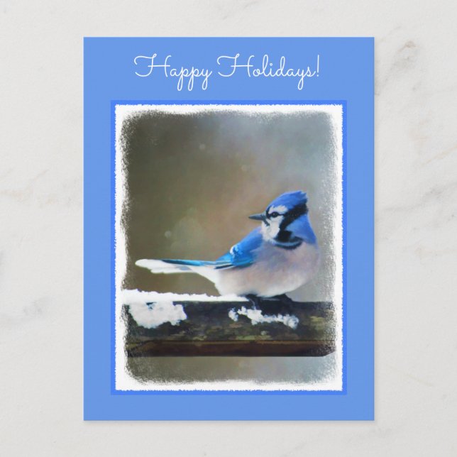 Blue Jay Painting - Original Bird Art Holiday Postcard (Front)