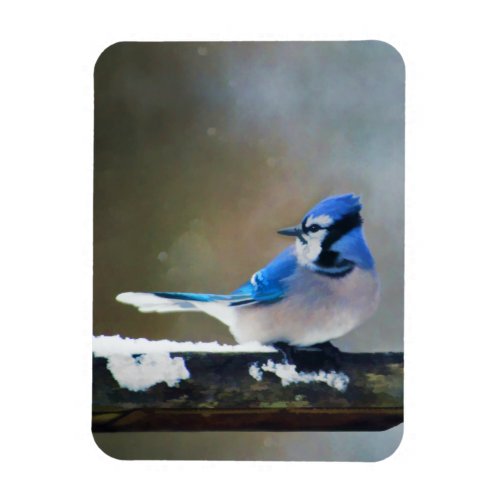 Blue Jay Painting _ Original Bird Art Magnet