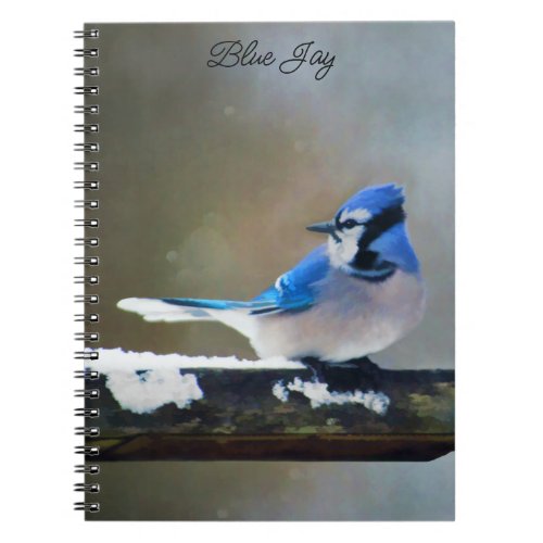 Blue Jay Painting _ Original Bird Art Notebook