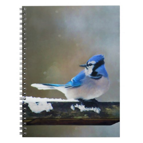 Blue Jay Painting _ Original Bird Art Notebook