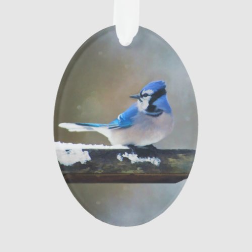 Blue Jay Painting _ Original Bird Art Ornament