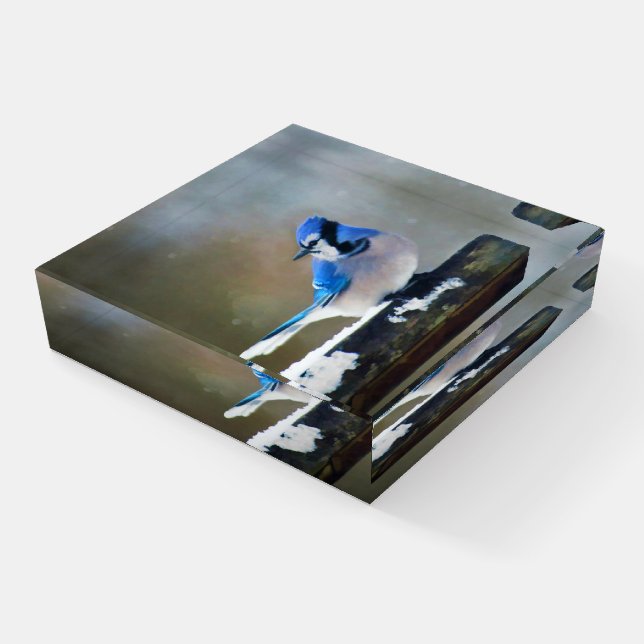 Blue Jay Painting - Original Bird Art Paperweight (Angled)
