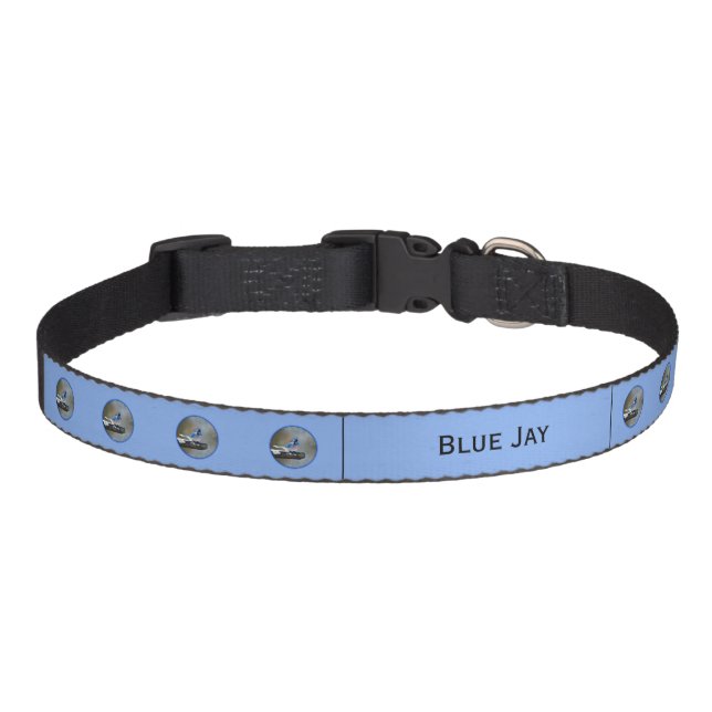 Blue Jay Painting - Original Bird Art Pet Collar (Front)