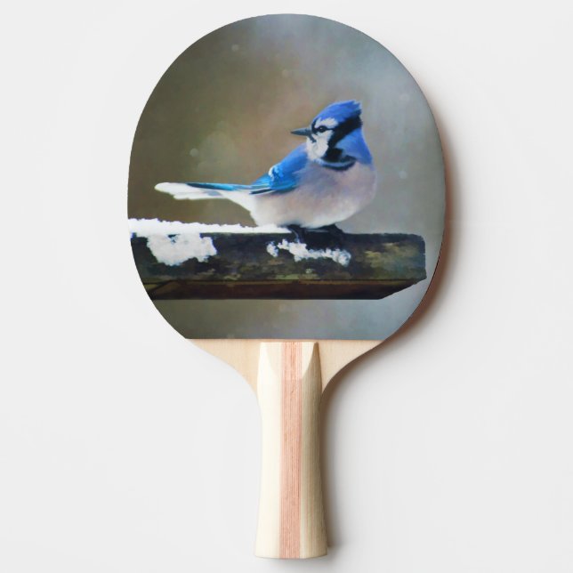 Blue Jay Painting - Original Bird Art Ping Pong Paddle (Front)