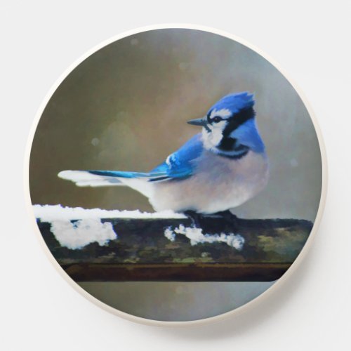 Blue Jay Painting _ Original Bird Art PopSocket