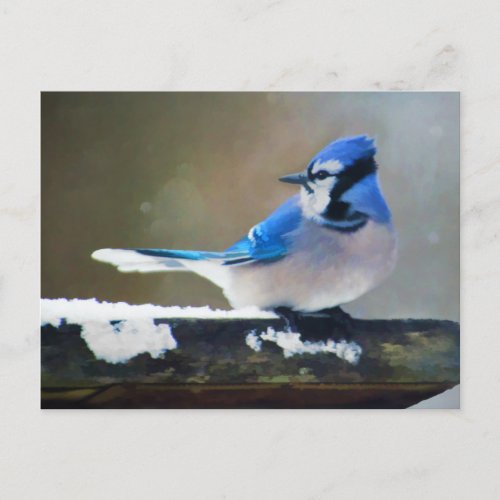 Blue Jay Painting _ Original Bird Art Postcard